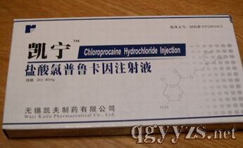 招商醫藥產品 把握行業機遇，共創健康未來